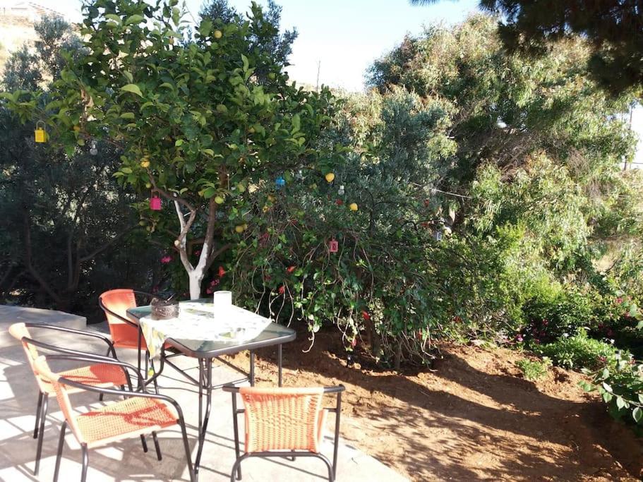 Grandpa Simos' Traditional Guest House Agios Romanos Buitenkant foto