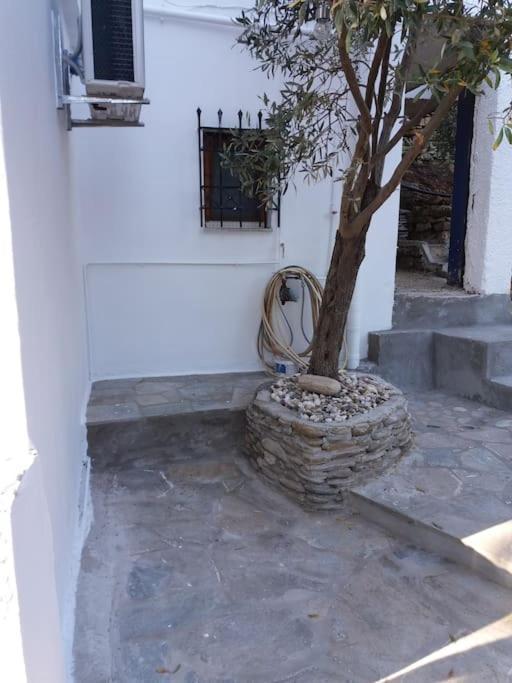 Grandpa Simos' Traditional Guest House Agios Romanos Buitenkant foto