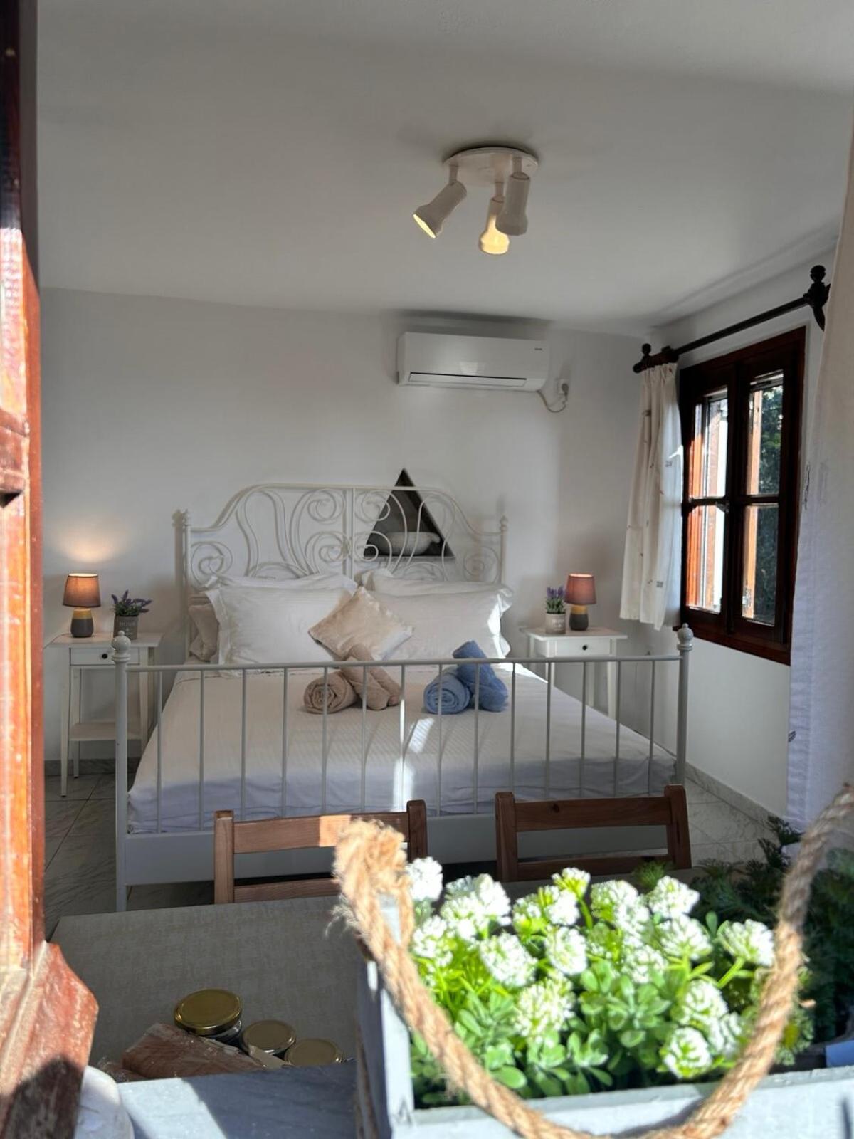 Grandpa Simos' Traditional Guest House Agios Romanos Buitenkant foto